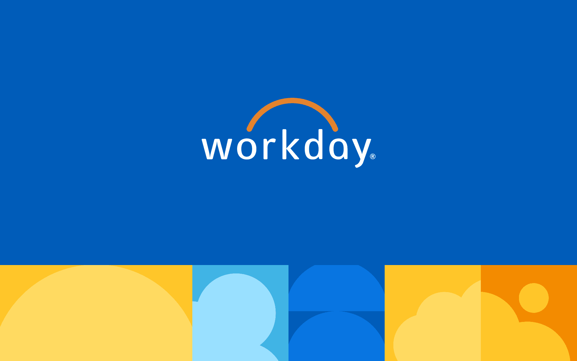 WORKDAY Experience Survey